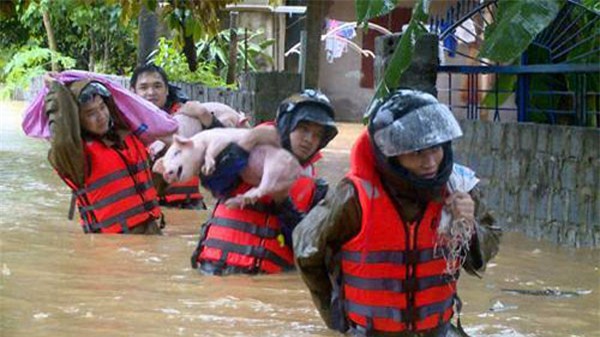 ha noi: vo de o chuong my, nuoc chay xiet phu trang ca mot vung - 5