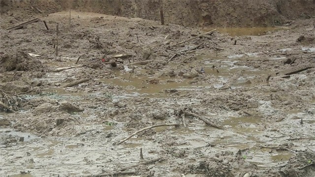 vu sat lo o hoa binh: tham hoa ap den bong dung mat ca gia dinh hinh anh 3