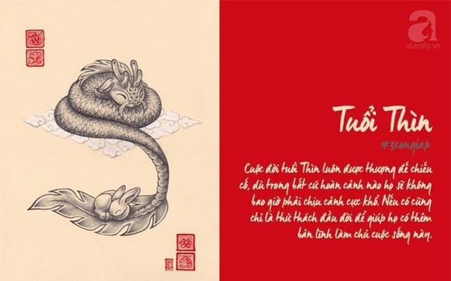 con giáp blogtin (2)