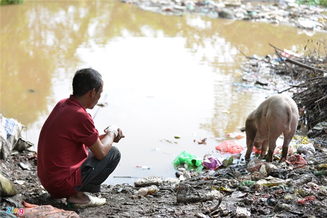 Nuoc song Hong dang cao, bai giua o Ha Noi chim nghim hinh anh 10