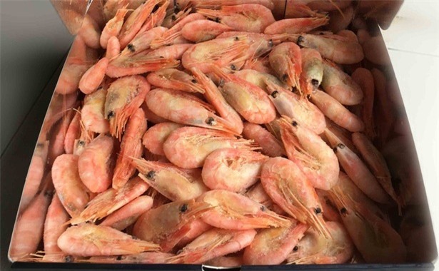 hải sản biển, hải sản nhập khẩu, thực phẩm sạch, đặc sản nhà giàu