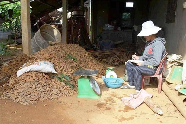 phế liệu, sắt vụn