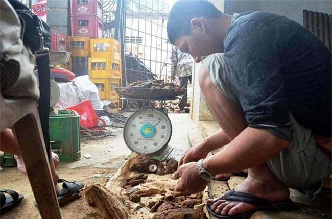 phế liệu, sắt vụn