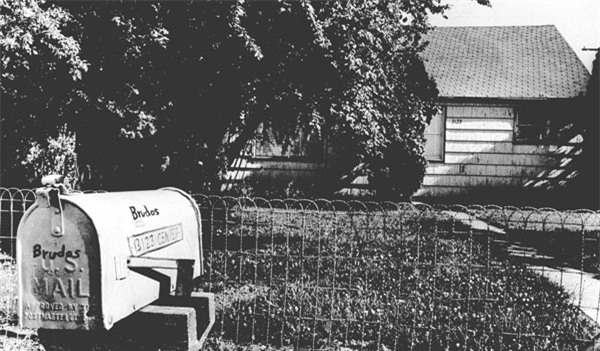 sat nhan giay cao got: tu tuoi tho bi nguoc dai den ga bien thai voi so thich quai dan - 2