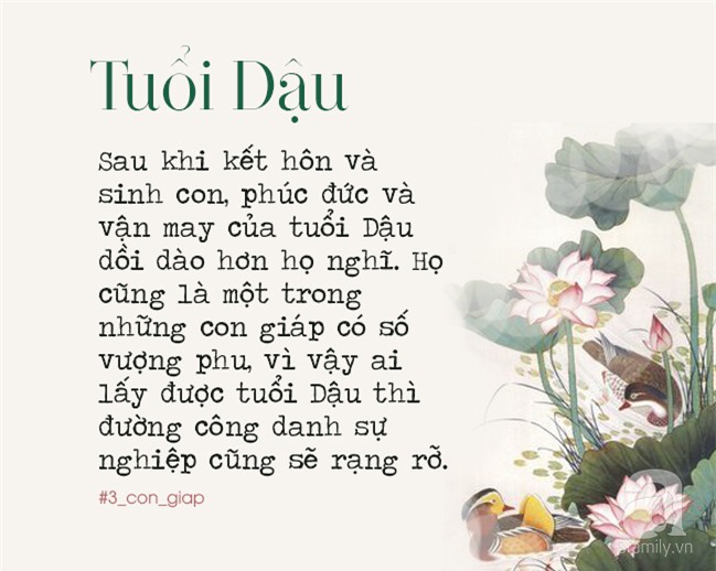 Lấy vợ thuộc 3 con giáp này, đàn ông tay trắng cũng thừa sức mua nhà mua xe ở tuổi 40 - Ảnh 3.