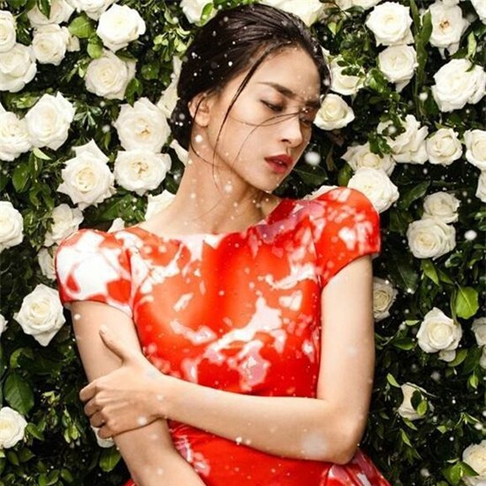 Ngô Thanh Vân, làng sao