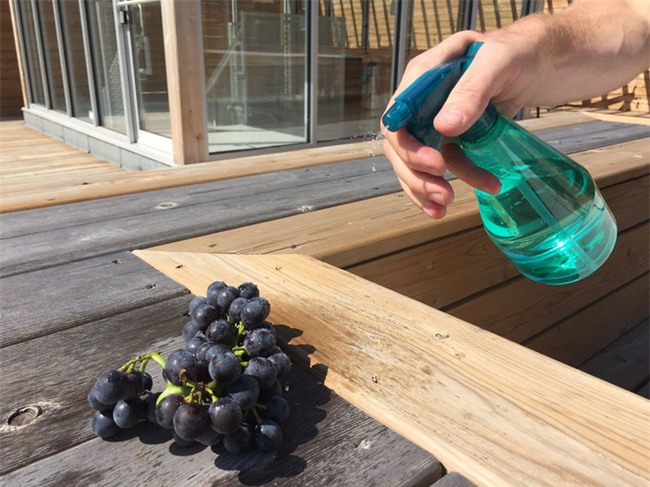 Ảnh đẹp trăm Like không cần chỉnh sửa, chỉ cần đổ nước vào là xong! - Ảnh 2.