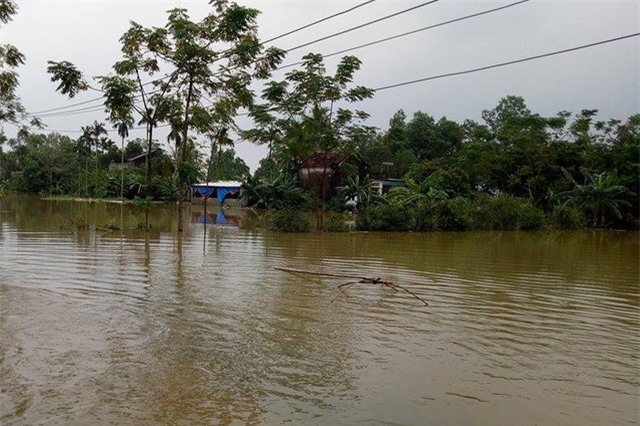 Diện tích trồng rau của bà con Nông Cống sau đợt lũ đã trắng băng nước