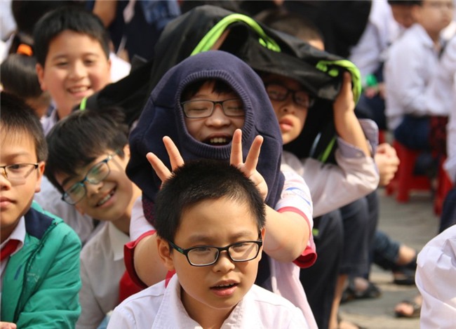 giáo dục sớm, tiểu học, mầm non