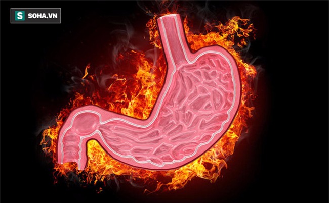Nam giới muốn khỏe, trước hết đừng để gan, phổi, dạ dày có bệnh: Đây là 3 điều nên làm! - Ảnh 2.