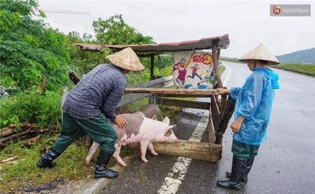Trận lũ lịch sử hoành hành miền Bắc: Những câu chuyện đau lòng và tình người nơi lũ quét qua - Ảnh 10.