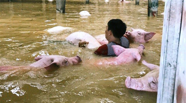 Trận lũ lịch sử hoành hành miền Bắc: Những câu chuyện đau lòng và tình người nơi lũ quét qua - Ảnh 7.