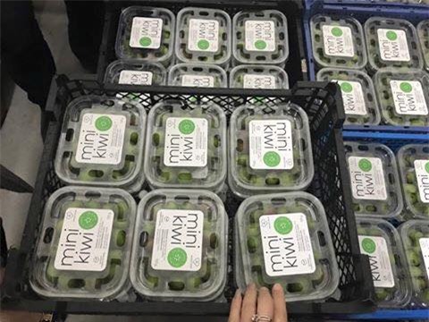 san qua kiwi mini gia bac trieu, dat co sat ra mieng? - 2