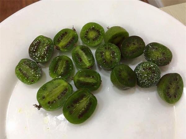 san qua kiwi mini gia bac trieu, dat co sat ra mieng? - 3