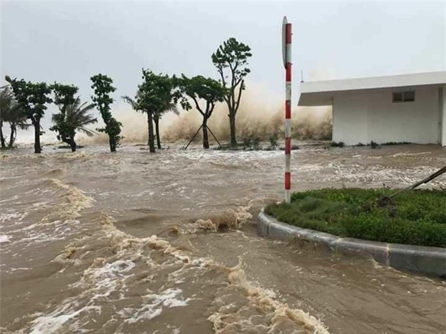 tai sao bao so 11 duoc du bao rat manh lai suy yeu nhanh chong? - 1