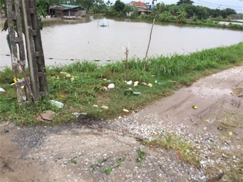 Hà Nội: Nỗi đau của người vợ có chồng bị bắt do đánh tử vong trộm chó - Ảnh 2.