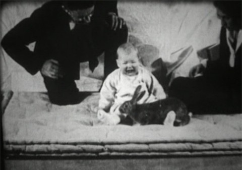 Albert bé nhỏ - một trong những thí nghiệm tàn ác nhất với trẻ em xuyên suốt lịch sử loài người - Ảnh 1.