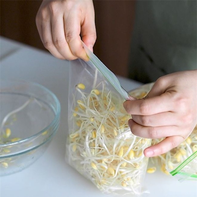 Chẳng ai ngờ cách đơn giản này lại giúp giá đỗ tươi ngon đến cả tuần - Ảnh 2.