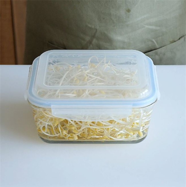 Chẳng ai ngờ cách đơn giản này lại giúp giá đỗ tươi ngon đến cả tuần - Ảnh 6.