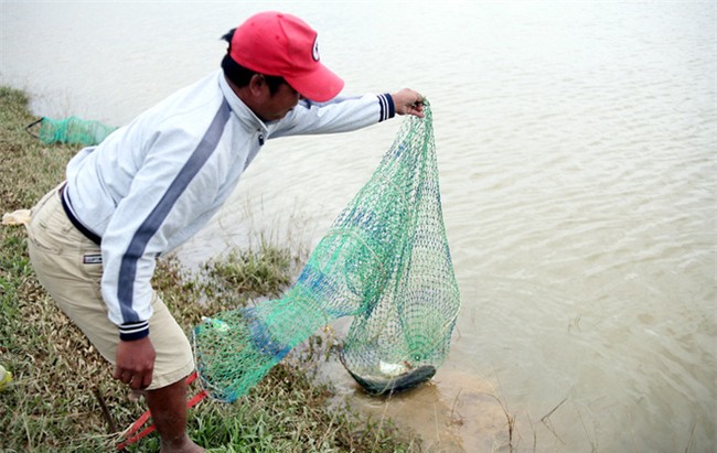 Mặc nước ngập trắng, người dân Chương Mỹ vẫn vui vẻ buông cần kiếm bộn cá, nướng nhậu ngay tại trận - Ảnh 10.