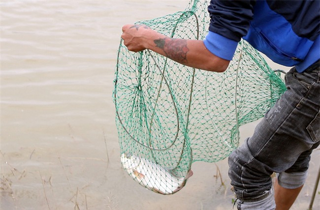 Mặc nước ngập trắng, người dân Chương Mỹ vẫn vui vẻ buông cần kiếm bộn cá, nướng nhậu ngay tại trận - Ảnh 11.