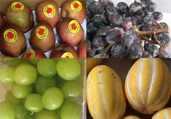 hoa quả nhập khẩu,hoa quả hàn quốc,hoa quả giá rẻ