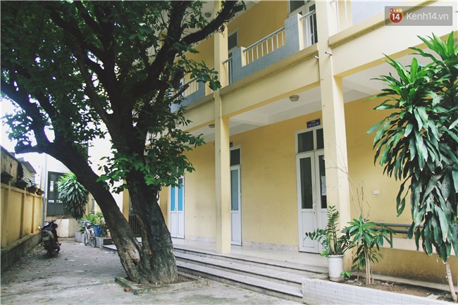 Bà giáo già 74 tuổi mở lớp học cho những đứa trẻ đặc biệt được bầu bạn với nhau - Ảnh 1.