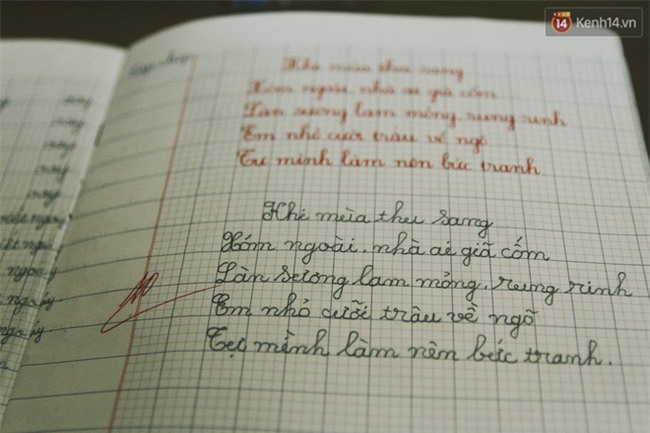 Bà giáo già 74 tuổi mở lớp học cho những đứa trẻ đặc biệt được bầu bạn với nhau - Ảnh 14.