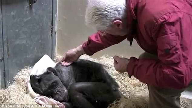 Phút buồn thương cuối đời của cô tinh tinh 59 tuổi: Chẳng chịu ăn cho tới khi gặp người bạn cũ 45 năm - Ảnh 3.