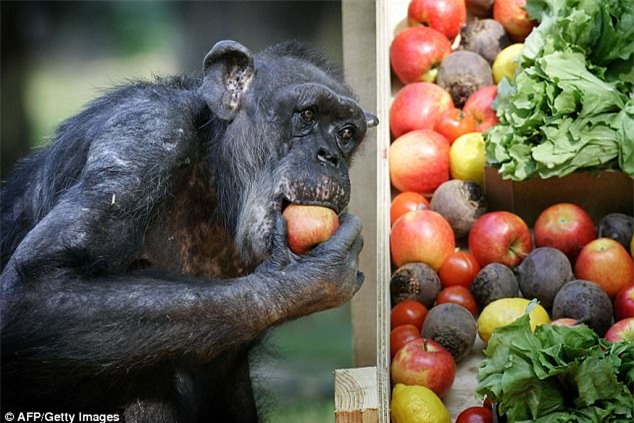 Phút buồn thương cuối đời của cô tinh tinh 59 tuổi: Chẳng chịu ăn cho tới khi gặp người bạn cũ 45 năm - Ảnh 6.