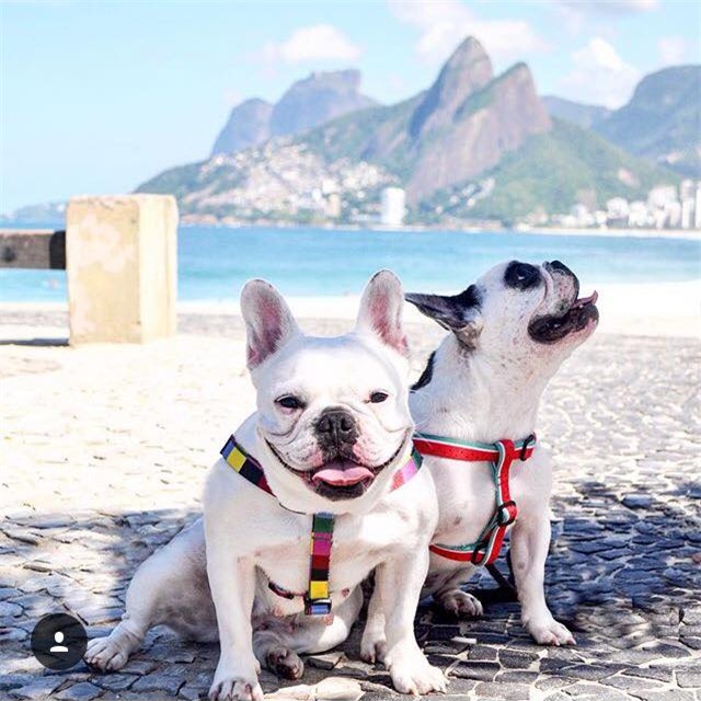 Xem camera an ninh thấy một cảnh tượng kinh hãi, cô gái quyết định hủy hôn ngay lập tức - Ảnh 6.