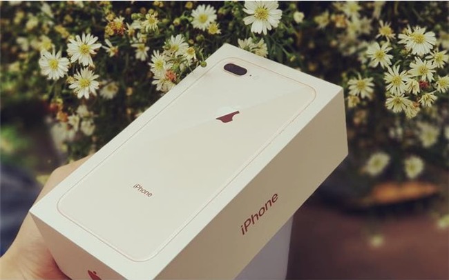 quà tặng 20/10,ngày phụ nữ Việt Nam,quà tặng ngày phụ nữ việt nam,hoa tươi,giỏ quà,iphone,đồng hồ