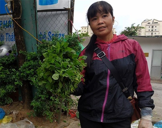 Hà Nội: Bà nội chợ méo mặt vì rau xanh khan hiếm, giá tăng gấp đôi sau ngập lụt - Ảnh 4.