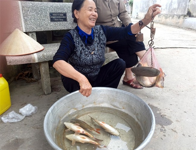 Hà Nội: Bà nội chợ méo mặt vì rau xanh khan hiếm, giá tăng gấp đôi sau ngập lụt - Ảnh 7.