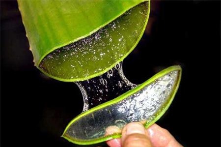 Het sach mun cam, mun dau den, da cang min nho dung nha dam theo cach nay