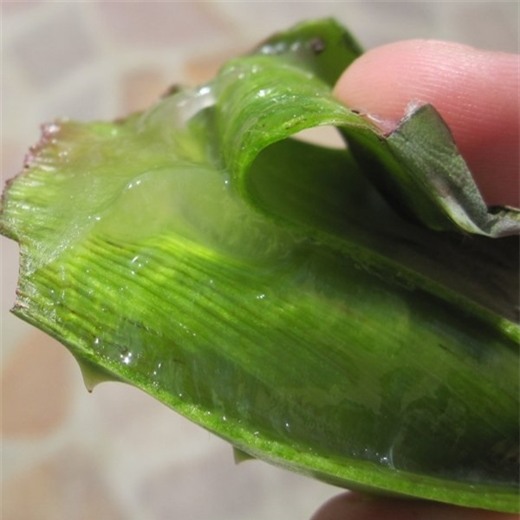 Het sach mun cam, mun dau den, da cang min nho dung nha dam theo cach nay