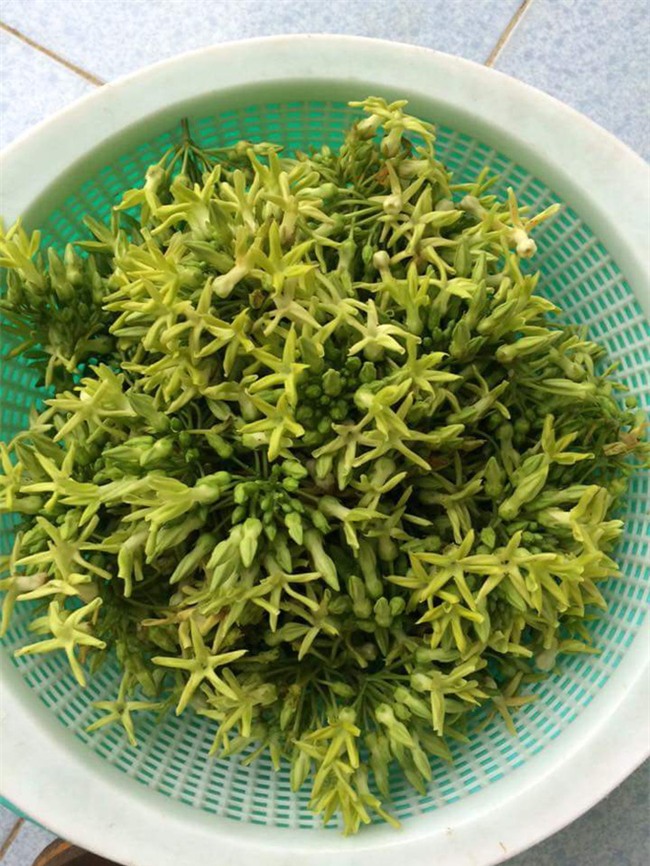 Chị em tới tấp khoe quà 20/10: hết vàng bạc hột xoàn, hoa lá, cua biển... đến xe ga, điện thoại hịn - Ảnh 30.