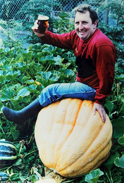 quả khổng lồ, trồng rau củ