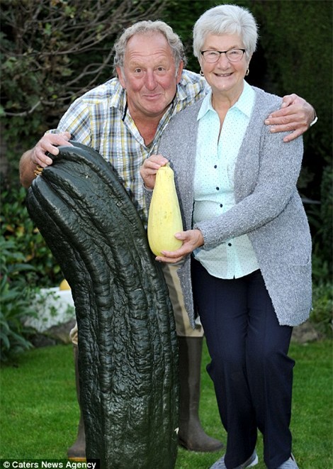 quả khổng lồ, trồng rau củ