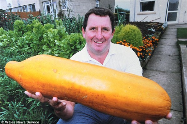 quả khổng lồ, trồng rau củ