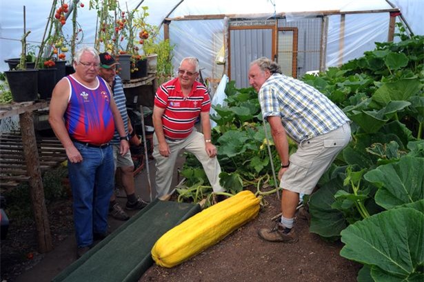 quả khổng lồ, trồng rau củ