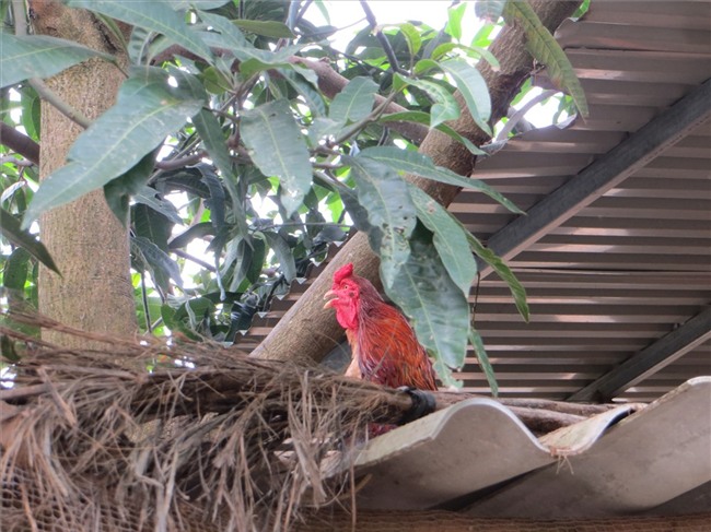 Bố chồng kể chuyện hai lần đưa hai con dâu mới sinh đi chạy lũ - Ảnh 3.