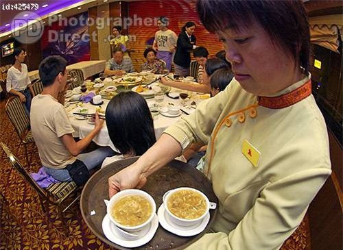 Món súp đắt nhất hành tinh nấu từ tử thần của biển cả, được tôn vinh là một trong tứ đại món ngon Trung Hoa - Ảnh 2.