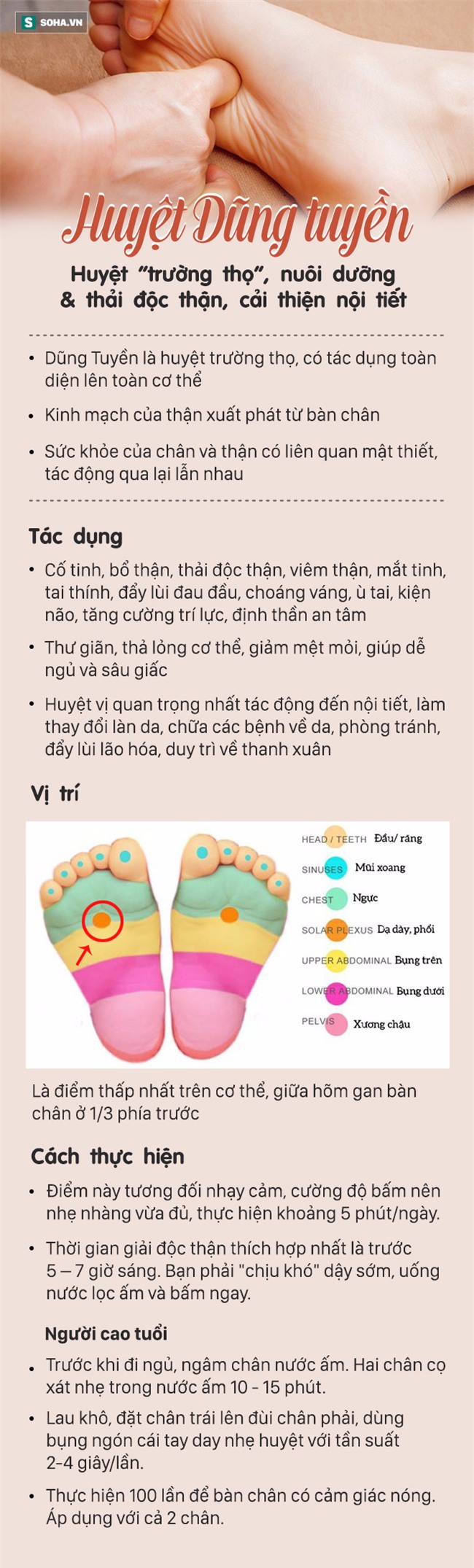 [Đọc nhanh] Đông y gọi đây là huyệt trường thọ với nhiều tác dụng, càng bấm càng khỏe! - Ảnh 1.