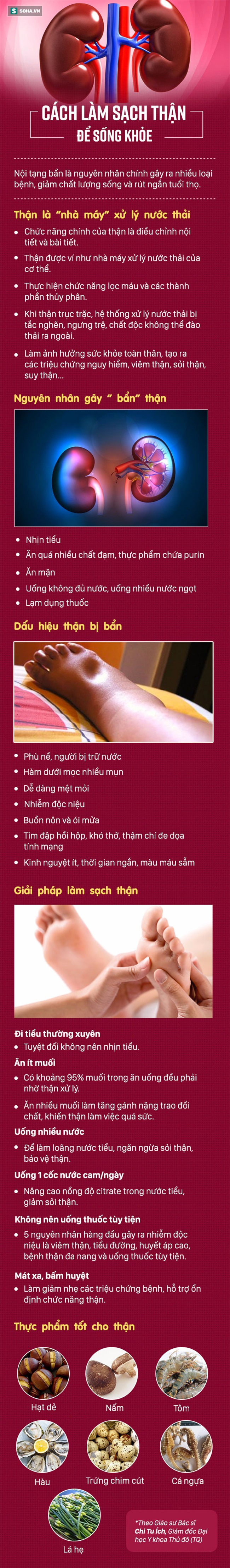 [Đọc nhanh] Danh y hướng dẫn cách làm sạch thận, đây là việc quan trọng ai cũng nên làm - Ảnh 1.