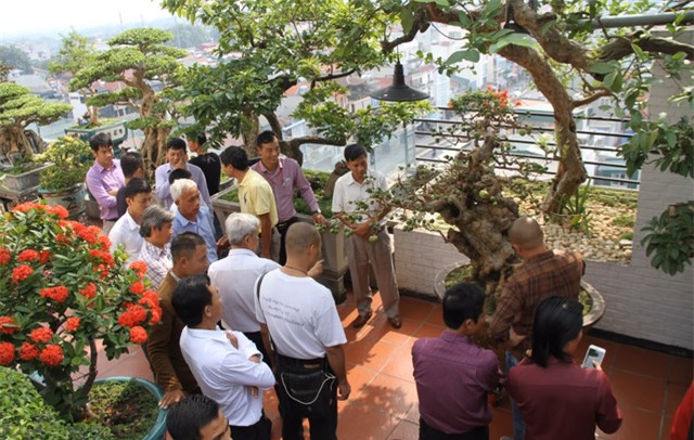 thú chơi xa xỉ, nhà giàu, giới siêu giàu, xe dát vàng, cây cảnh tiền tỷ