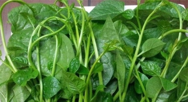 Hà Nội: Trẻ mầm non suýt ăn phải rau mùng tơi nhiễm thuốc trừ sâu trong bếp nhà trường - Ảnh 2.