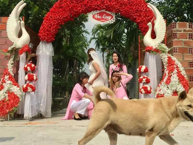 Nhờ dân mạng sửa ảnh cho đỡ sứt mẻ tình chị em, 4 cô gái lặng câm với series chế cười đau ruột - Ảnh 1.