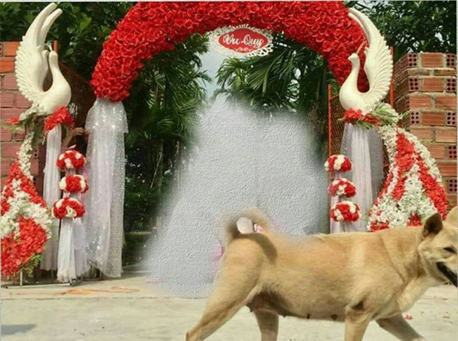 Nhờ dân mạng sửa ảnh cho đỡ sứt mẻ tình chị em, 4 cô gái lặng câm với series chế cười đau ruột - Ảnh 10.