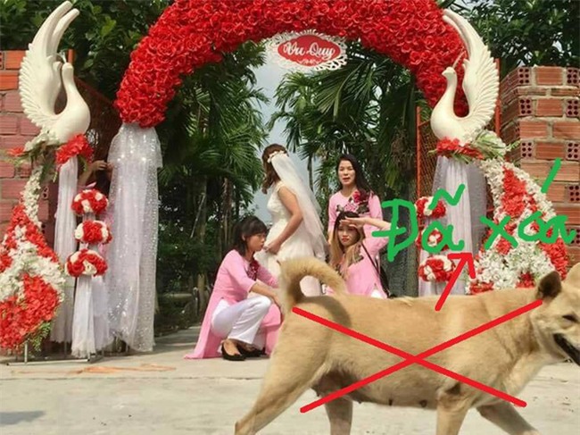 Nhờ dân mạng sửa ảnh cho đỡ sứt mẻ tình chị em, 4 cô gái lặng câm với series chế cười đau ruột - Ảnh 14.